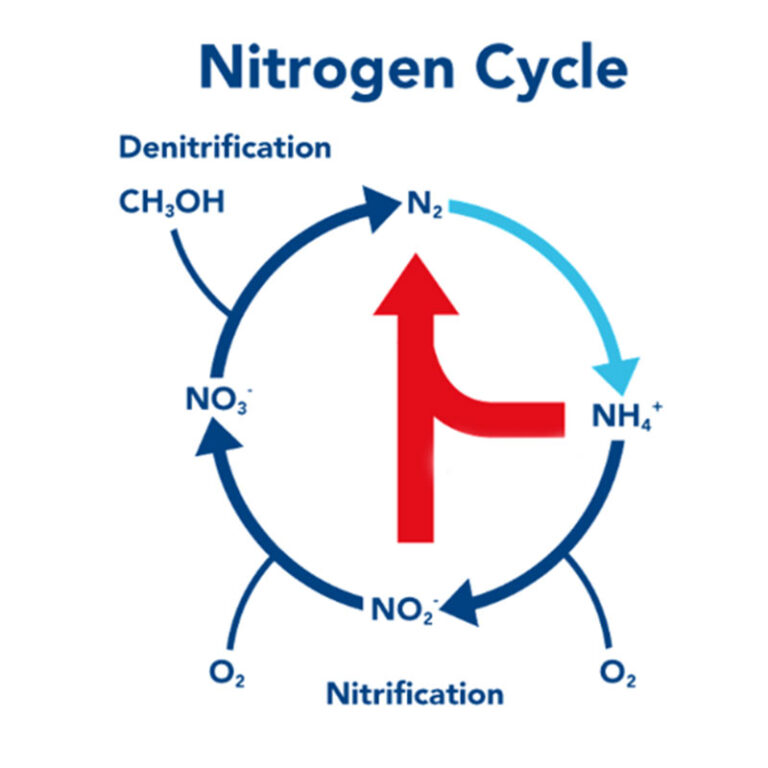 anaerobic-anammox-oxidation-treatment